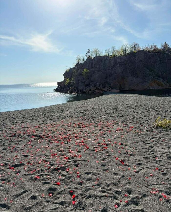 Questionable wedding moments scene of a beach littered with red flower petals
