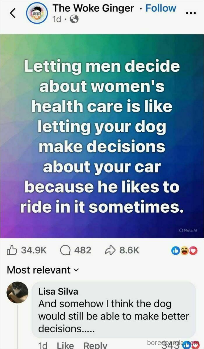 A Facebook post meme comparing men deciding on women's healthcare to a dog making car decisions.