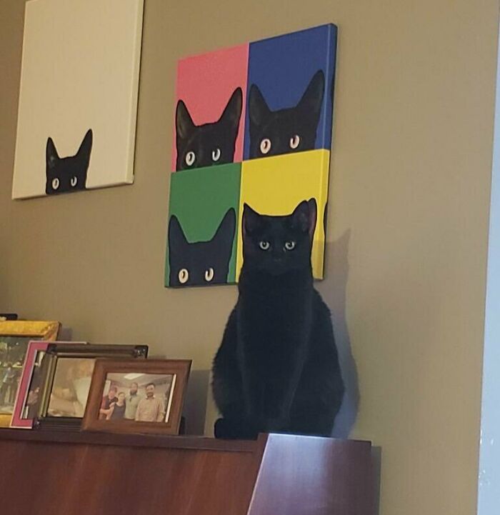 Black cat sitting in front of cat art creating accidental camouflage