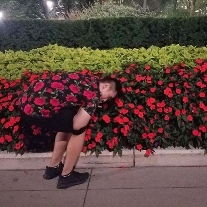 A man in rose pattern shirt blending with red flower bushes, creating accidental camouflage