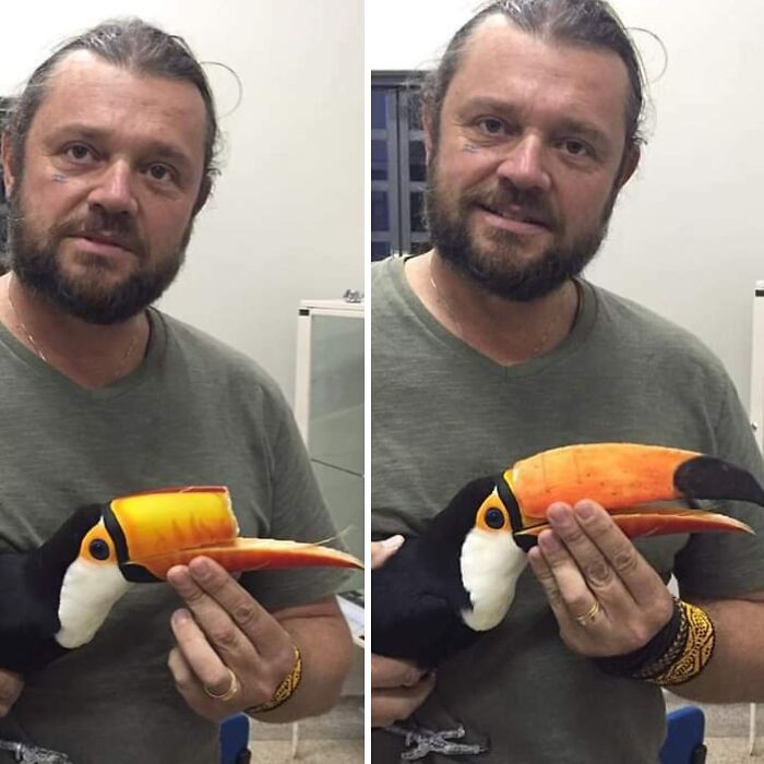 A man holding a toucan with a 3D printer prosthetic beak replacement