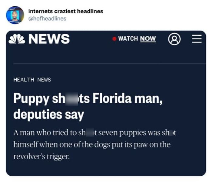 A screenshot of a shocking news article about a dog, depicting weird news headlines