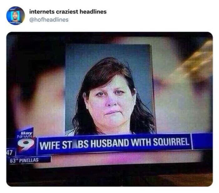 Unhinged news headlines screen grab showing mugshot of wife who stabbed husband with squirrel
