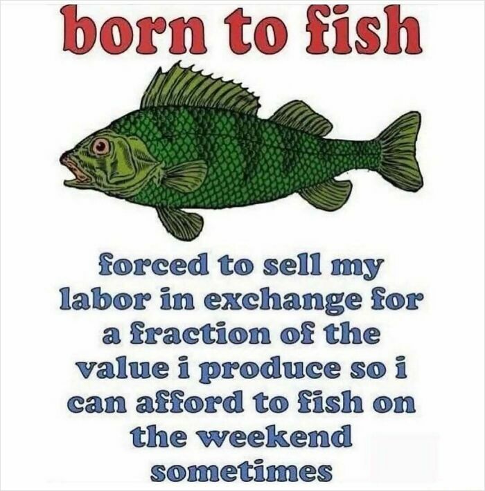 Humorous born to fish meme about working hard to afford weekend fishing