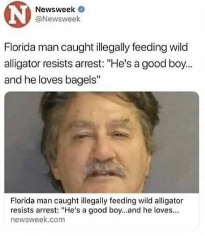 Hilarious News Headlines: Mugshot of Florida man arrested for feeding bagels to a wild alligator