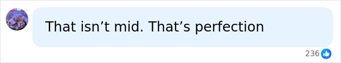 Social media comment about the beautiful mid meme declaring the woman is perfection rather than mid Social media comment about the beautiful mid meme declaring the woman is perfection rather than mid