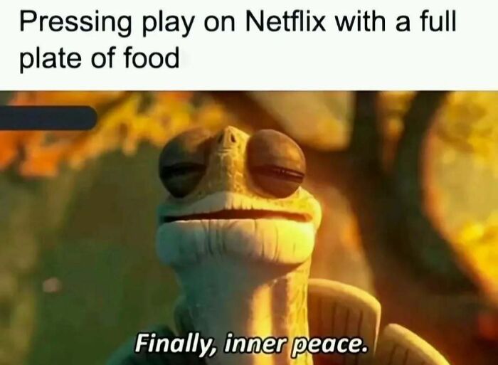 A Master Oogway meme representing inner peace and random memes with Netflix and food.
