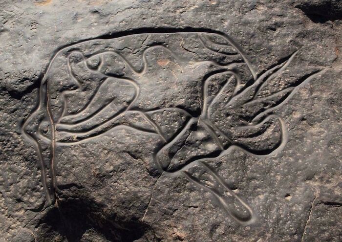 Creepy prehistoric rock carving of animal in stone discovery