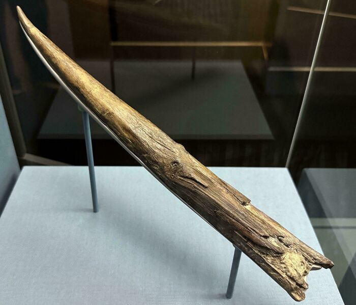 Old wooden spear or pointed artifact displayed in museum case