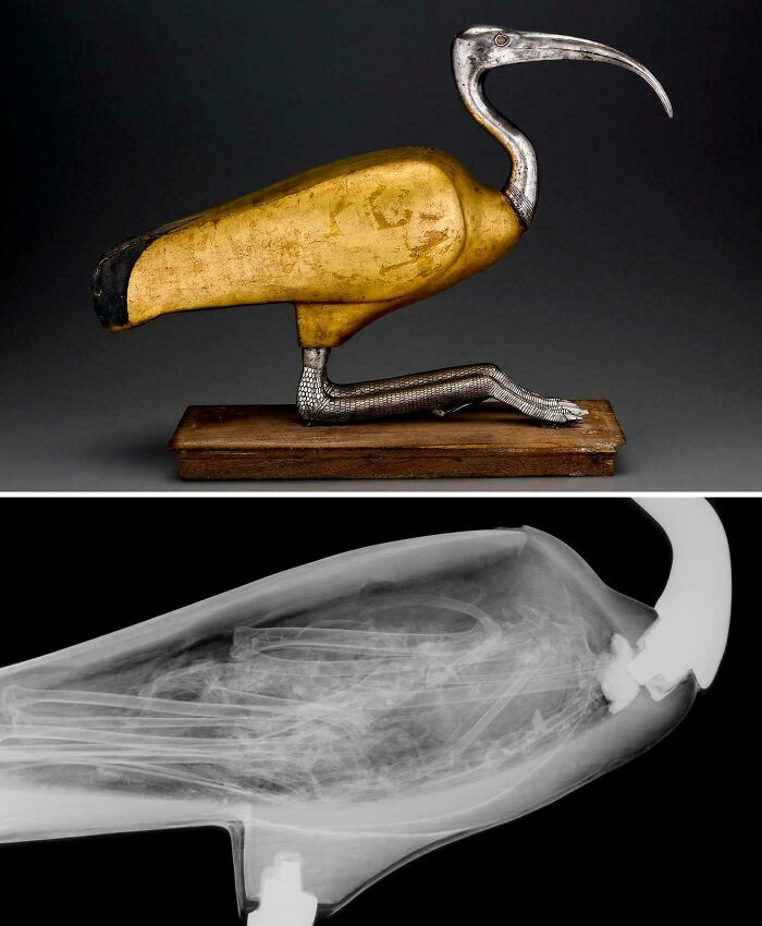 Decorative ibis-shaped artifact with golden and silver details and its X-ray view showing hidden structure