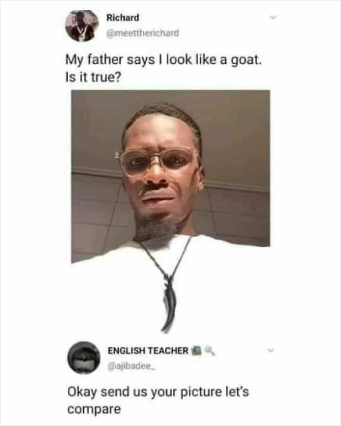 A hilarious exchange with funny and oddly accurate insults comparing a man's photo to a goat.
