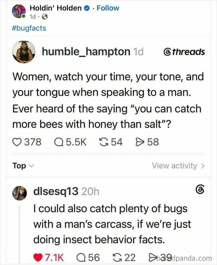 A social media post where women fighting to be viewed as people is highlighted in a witty comeback about insect behavior.