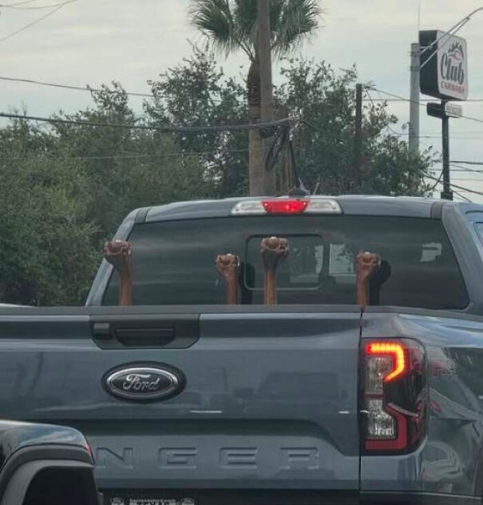 Pickup truck with wooden handles looking like raised fists staring