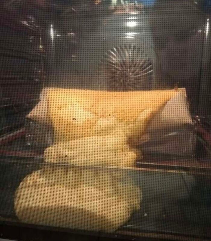 Uncooked dough in oven resembling a face looking out