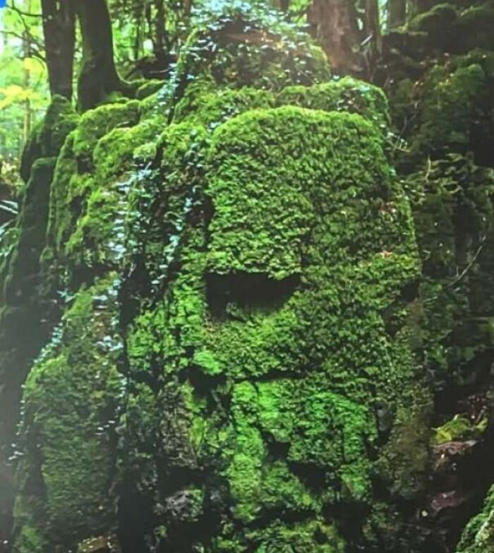 Moss-covered rock formation appearing as a large face in forest