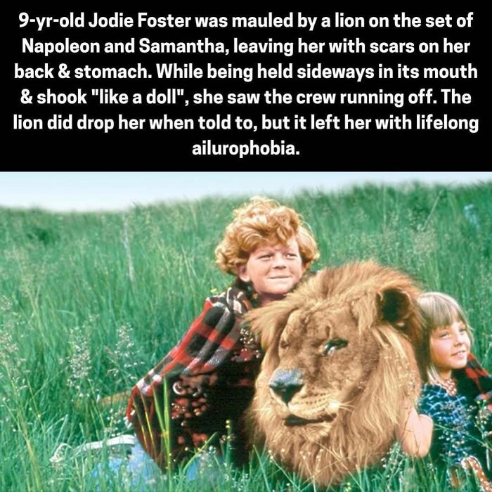 Young Jodie Foster mauling by lion during filming left scars and lifelong fear of cats