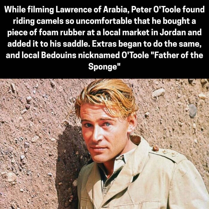 Actor Peter O'Toole on set adding foam rubber to camel saddle while filming Lawrence of Arabia