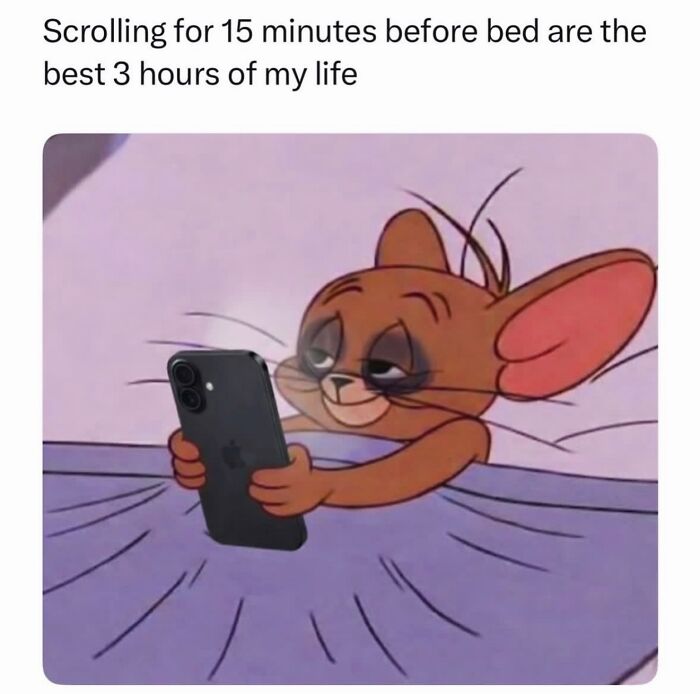 Relatable female meme of cartoon mouse scrolling on phone late at night in bed