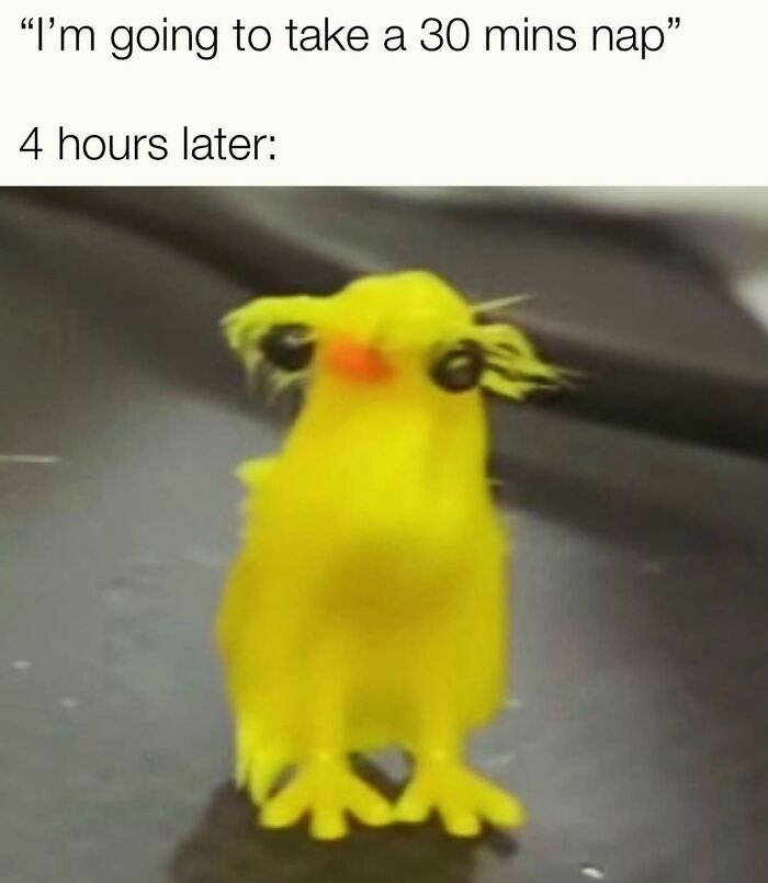 Relatable female meme showing a tired yellow bird after a 30 minute nap turns to 4 hours