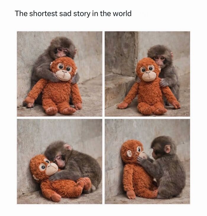 Sad female meme with a monkey and its stuffed toy telling a sad story