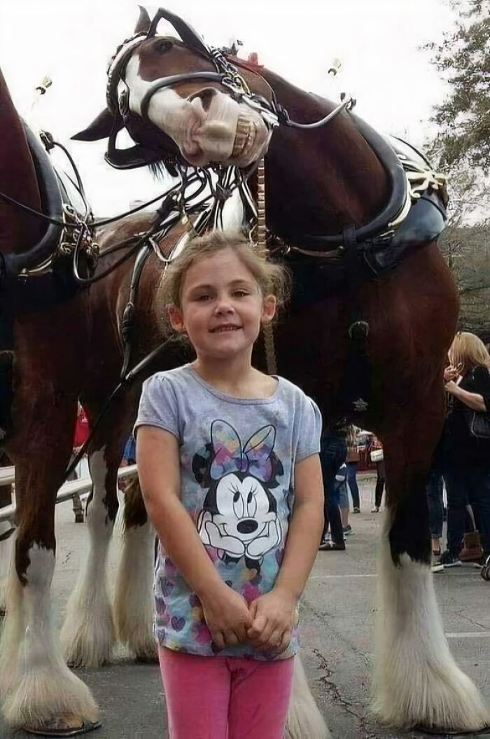A horse making a funny face in the background behind a smiling young girl, hijacking the cute photo.