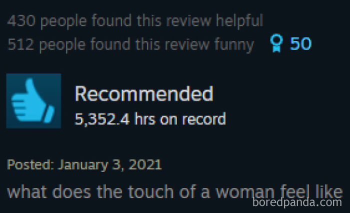 Entertaining Steam review with thousands of hours played asking what a woman's touch feels like.