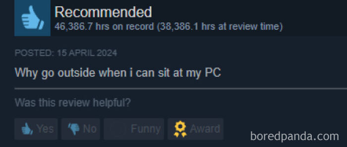 Humorous Steam review with over 46,000 hours logged asking why go outside when sitting at a PC is an option.