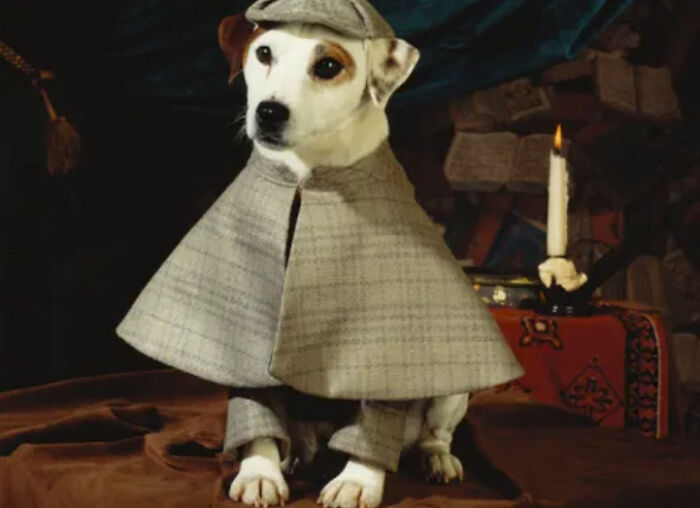 A small dog dressed in a detective coat and hat as a nostalgic photo example.