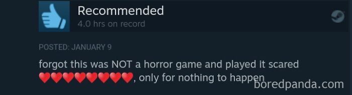 Funny Steam review about accidentally playing a non-horror video game with fear.