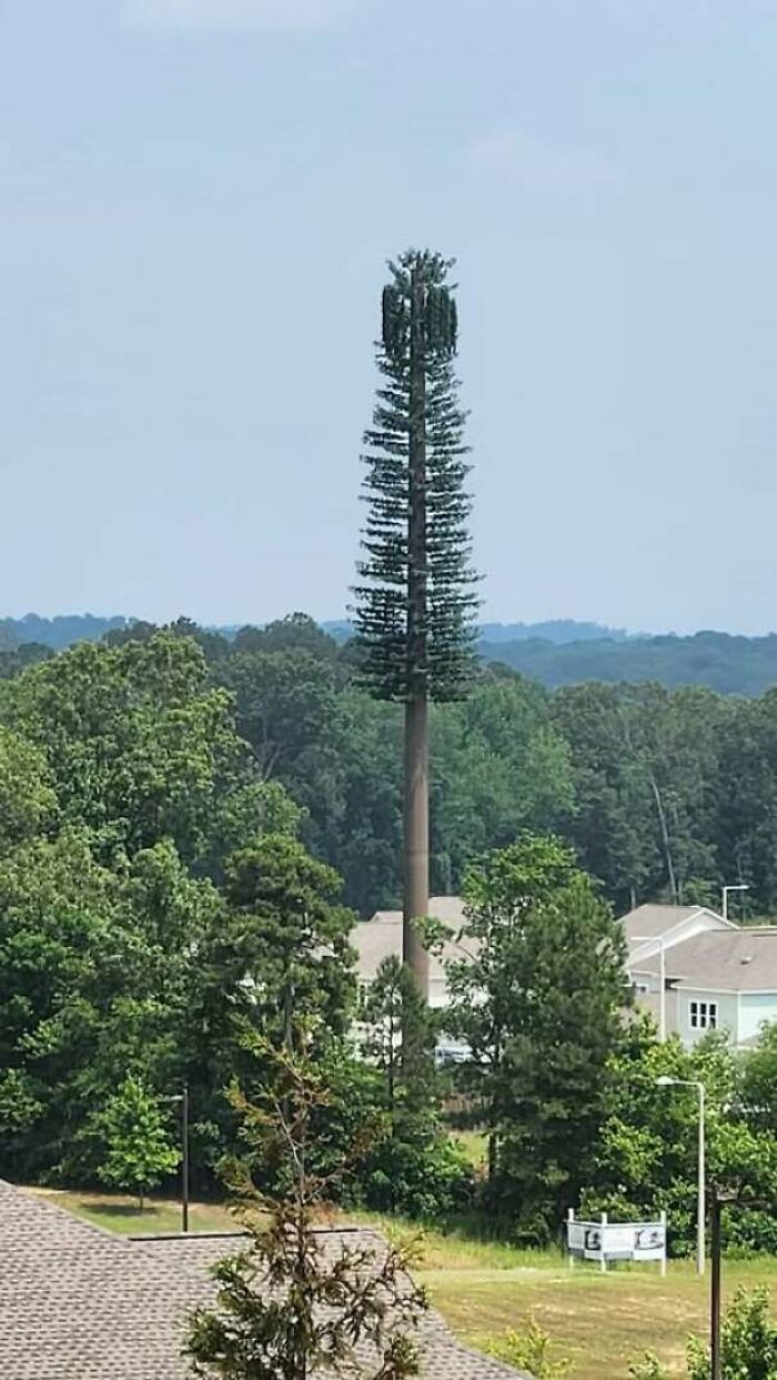 Construction fail of a cell tower disguised as a sparse artificial tree in forest area