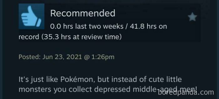 Amusing Steam review comparing a game to Pokemon where players collect depressed middle-aged men instead.