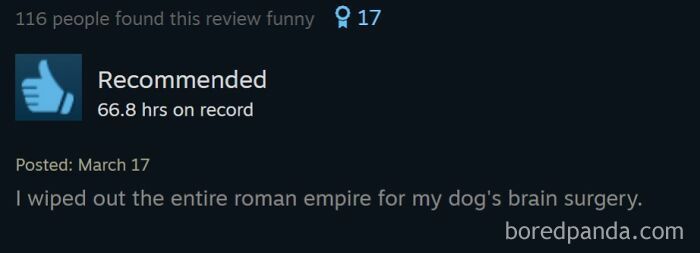 An entertaining Steam review explaining wiping out the Roman Empire to fund a dog's surgery after 66 hours of gameplay.