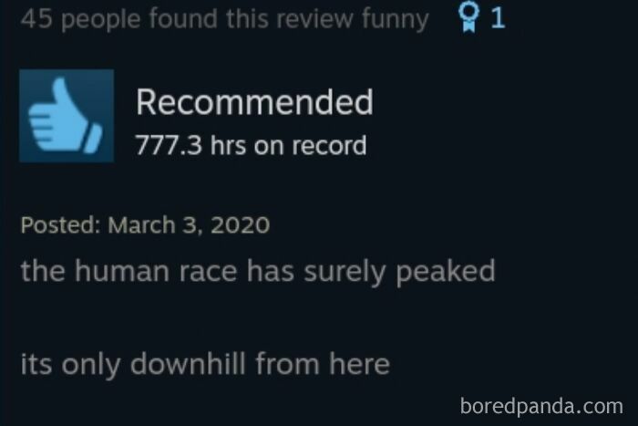 An entertaining Steam review stating the human race has peaked.