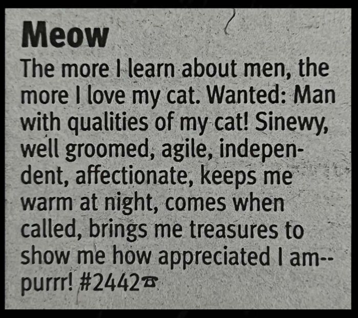 A newspaper personal ad from the past written by a cat lover looking for love.