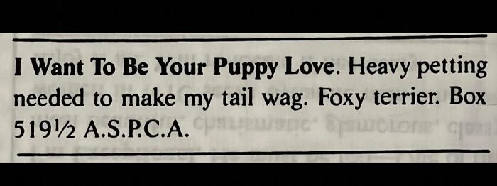 A humorously written personal ad from the past titled I Want To Be Your Puppy Love