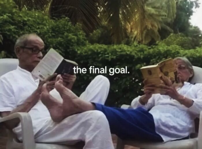 Relatable female meme showing elderly men reading books with text the final goal