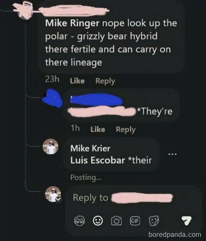 An online debate where people corrected someone incorrectly regarding grammar