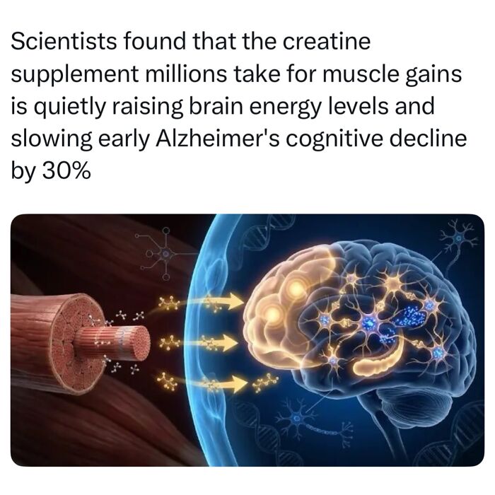Medical diagram of human brain and muscle illustrating interesting facts about science and health