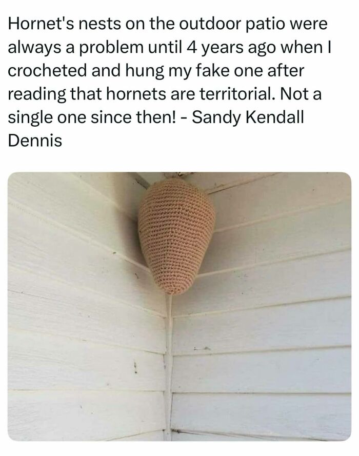 Crocheted fake hornet nest hanging outdoors as one of the interesting posts about pest control hacks