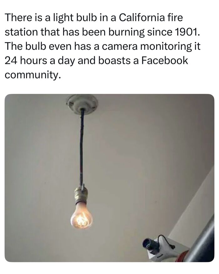 A glowing light bulb hanging from a ceiling monitored by a camera, one of many interesting facts about the world.