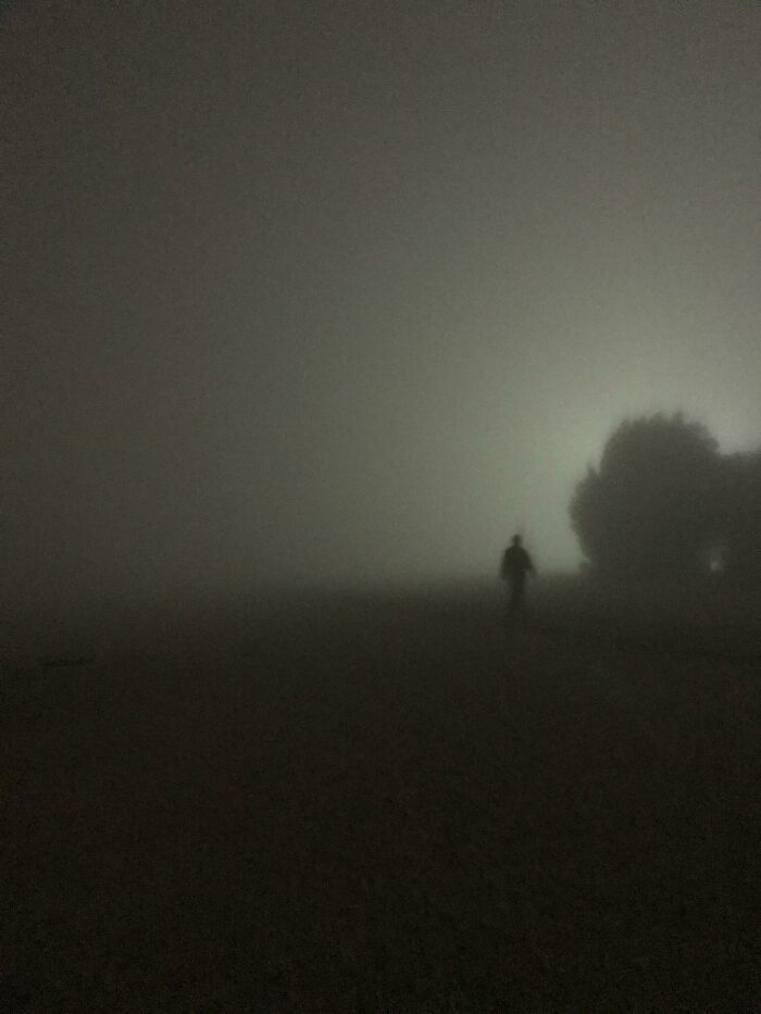 A shadowy figure standing in thick, eerie fog representing cursed images