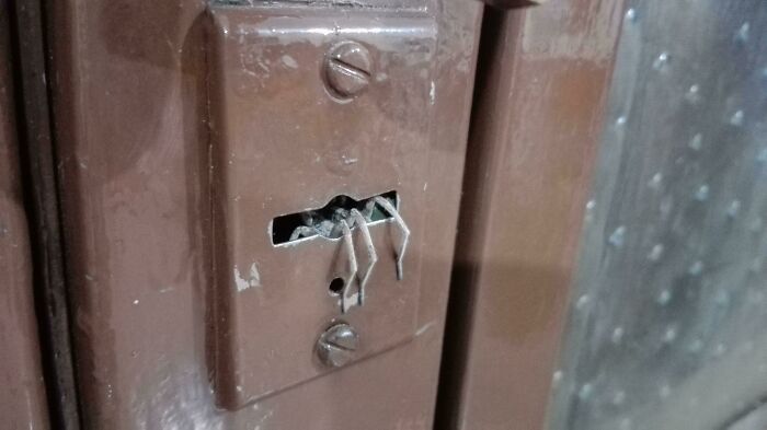 Spider legs sticking out from inside a brown light switch plate, an unsettling cursed images photo.