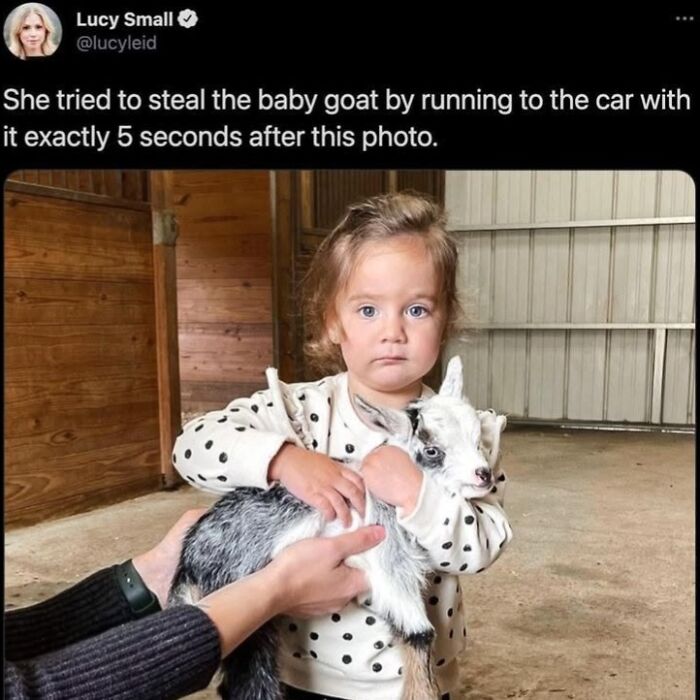 50 Animal Memes From The “Love Animal Memes” Facebook Page That Perfectly Capture The Chaos Of Living With Pets