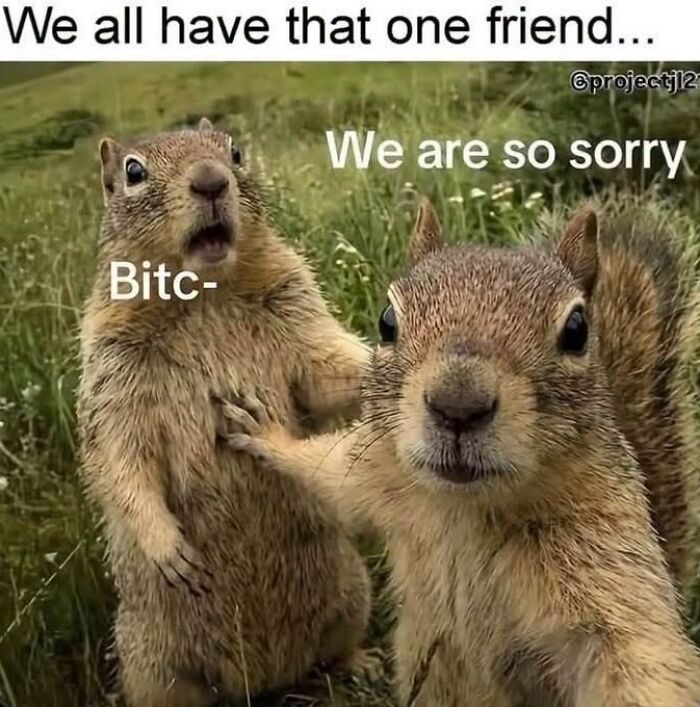 50 Animal Memes From The “Love Animal Memes” Facebook Page That Perfectly Capture The Chaos Of Living With Pets