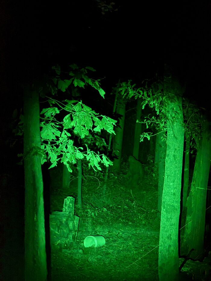 Night vision camera footage showing creepy photos of a dark figure hidden among green lit trees in a forest.