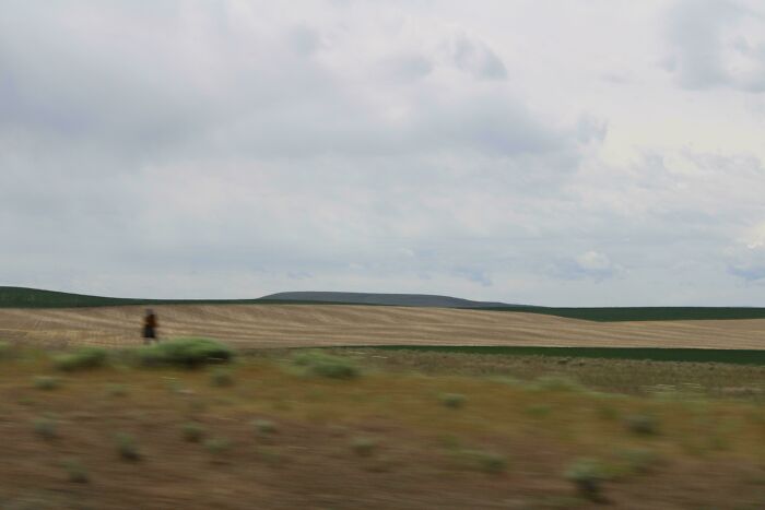 A lonely blurred figure standing in a vast field, creating creepy photos vibes