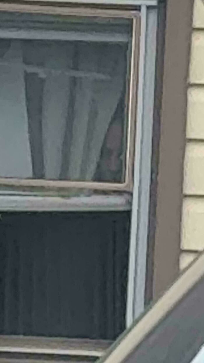 Creepy photos of a mysterious face peering out from behind a window curtain.