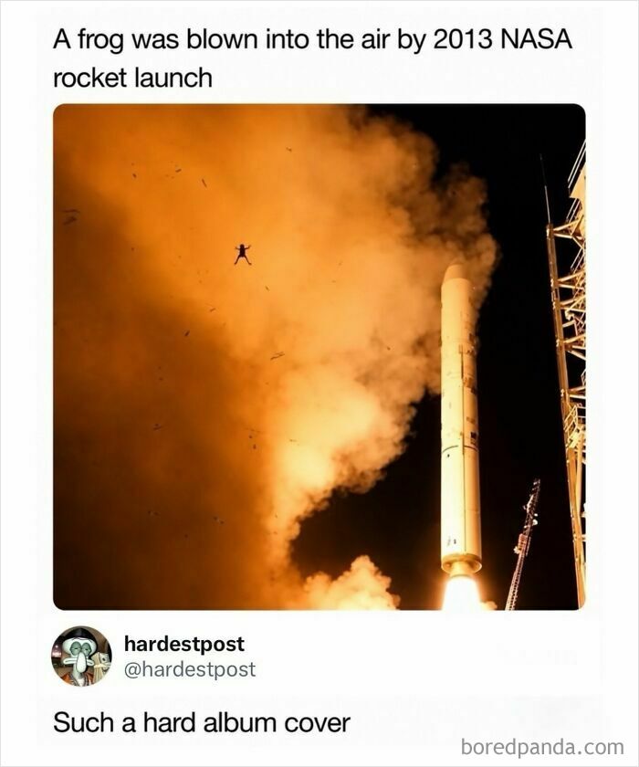 Funny and random posts displaying a frog blown into the air during a NASA rocket launch