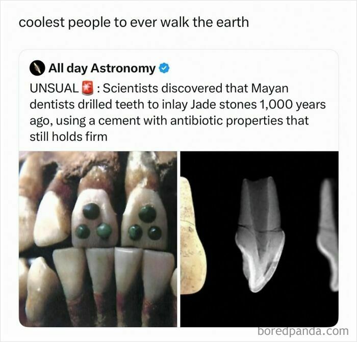Funny and random posts about ancient Mayan teeth inlaid with jade stones alongside an X-ray scan.