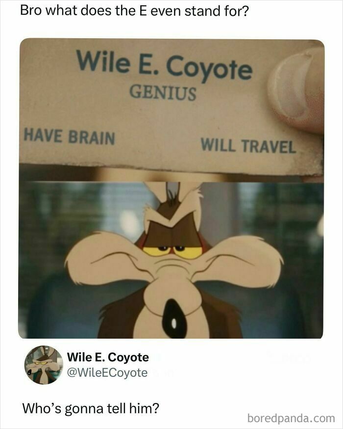 Funny and random posts screenshot featuring Wile E. Coyote business card and cartoon character face